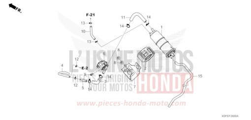 CUVETTE Z125MAN de 2022